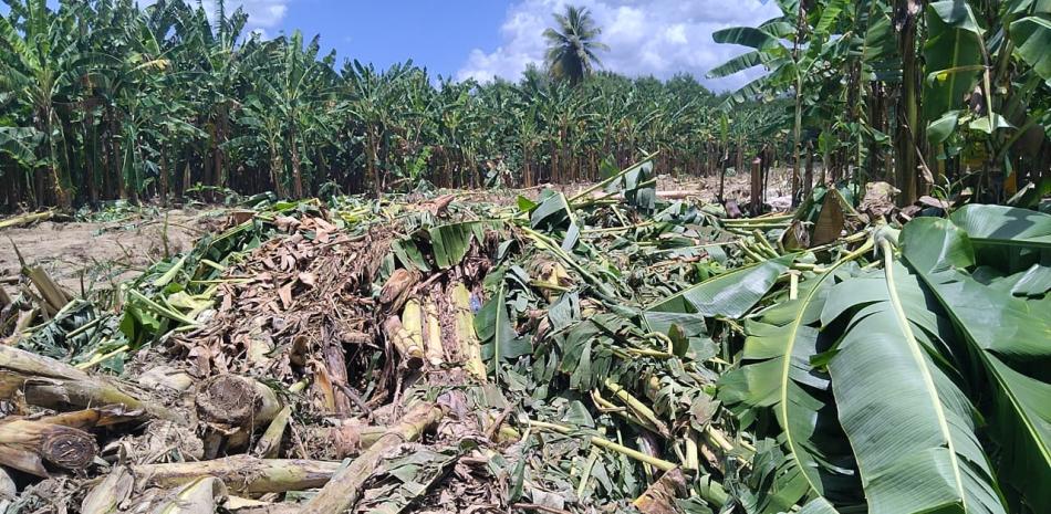 Tras cinco días de daños a la agricultura en Bahoruco autoridades no acuden a la provincia