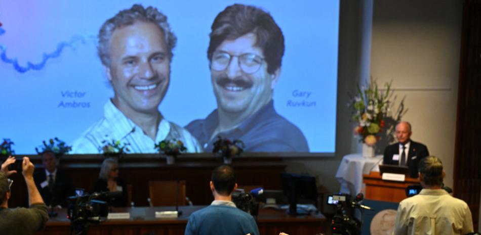 Un periodista toma una fotografía con su teléfono mientras Olle Kaempe, miembro de la Asamblea Nobel, habla con los medios frente a una pantalla que muestra una fotografía de los galardonados de este año Victor Ambros y Gary Ruvkum durante el anuncio de los ganadores del Premio Nobel . Foto Jonathan NACKSTRAND