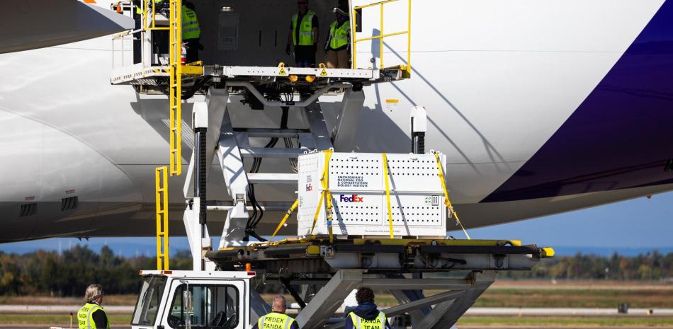 Una de las dos cajas que contienen un panda gigante se descarga de un vuelo especial de FedEx llamado 'Panda Express' que llegó desde China al aeropuerto de Dulles en Dulles, Virginia, EE.UU.