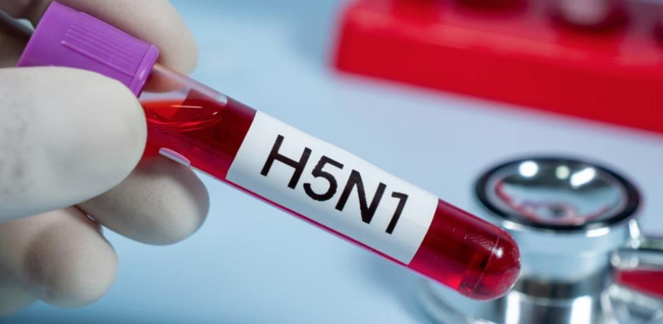 En Estados Unidos al menos 61 personas han contraído el virus H5N1