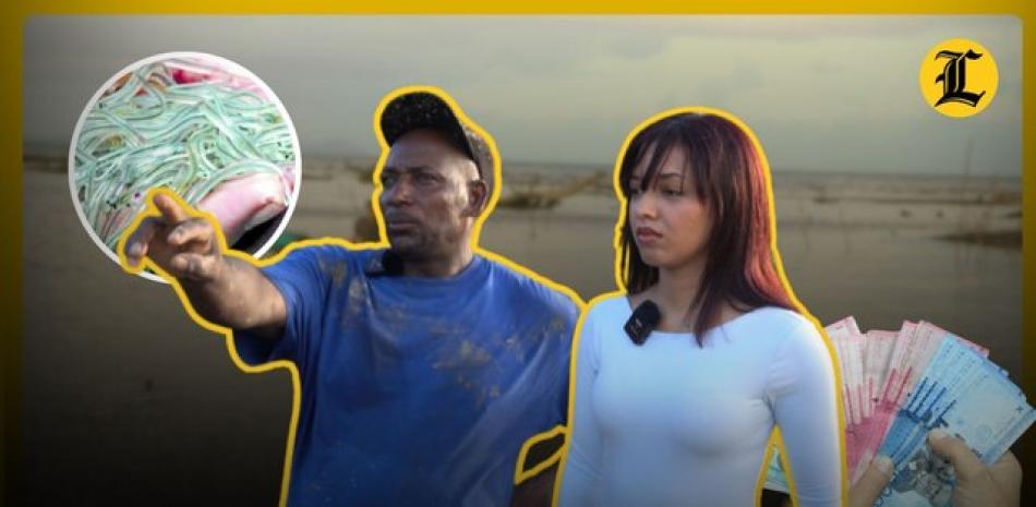 La pesca de anguilas, el jugoso negocio que cambió la vida de los pueblos costeros del Este