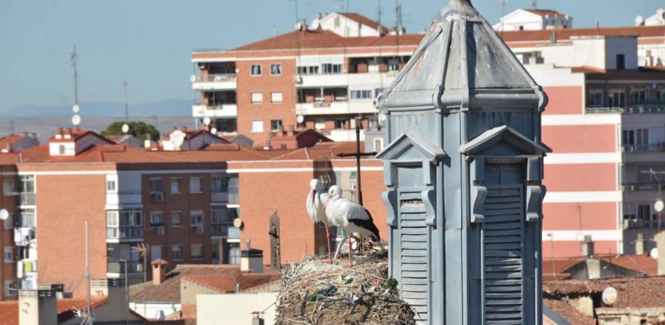 New Spanish Nationality Rules Proposed Amid Immigration Debate and Political Tensions