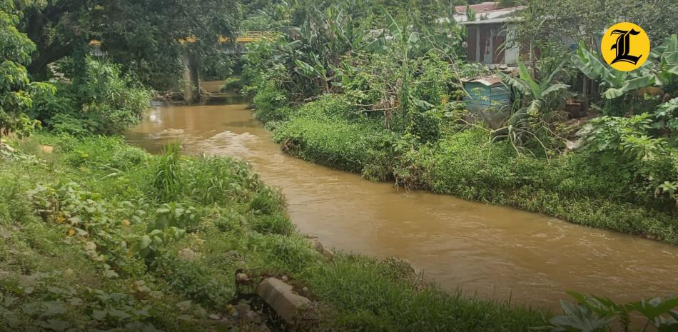 Productores de orégano del municipio de Ocoa denunciaron que han sido maltratados por el Ministerio de Medio Ambiente y estimaron millonarias las pérdidas que tuvieron luego de un desalojo que les hicieron en las Lomas de Los Pejes y La Guama, donde fueron destruidos sus cultivos y sus casuchas.