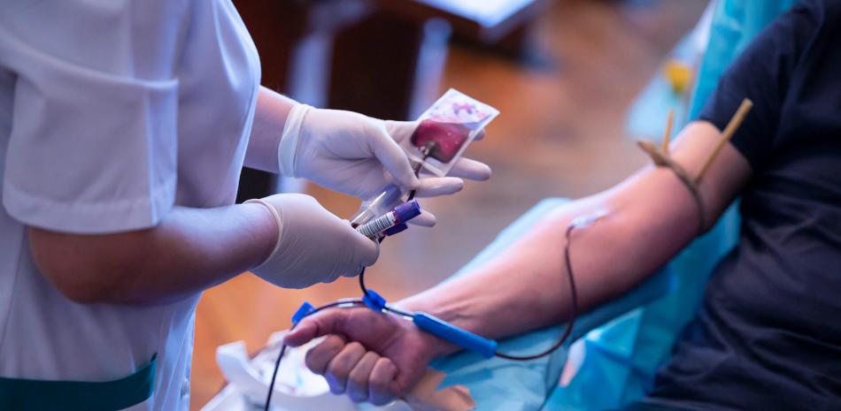 El Hemocentro planea presentar un proyecto de ley para establecer una norma reguladora integral en el ámbito de la sangre.