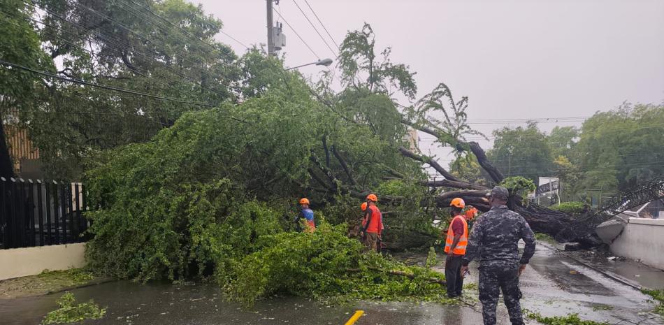 Vientos en Baní provocan caída de un árbol