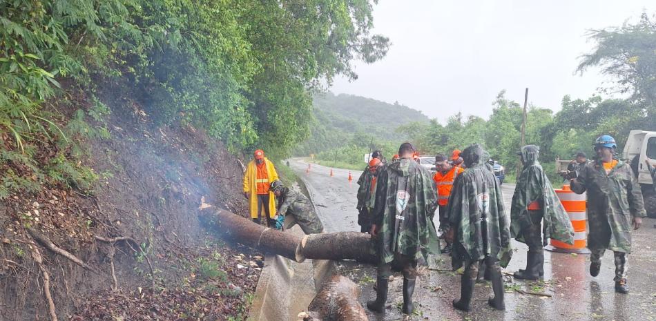 Brigadas de la Defensa Civil remueven árboles derribados por el fuerte viento y las lluvias.