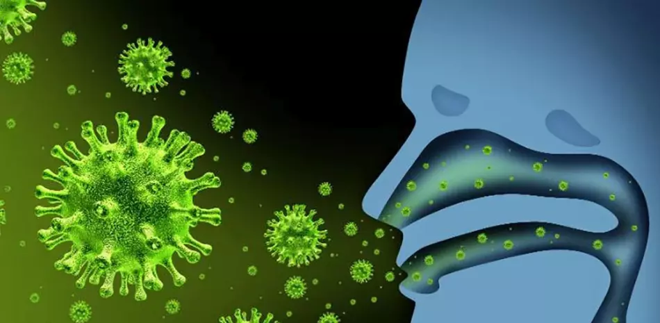 Ilustración del virus.