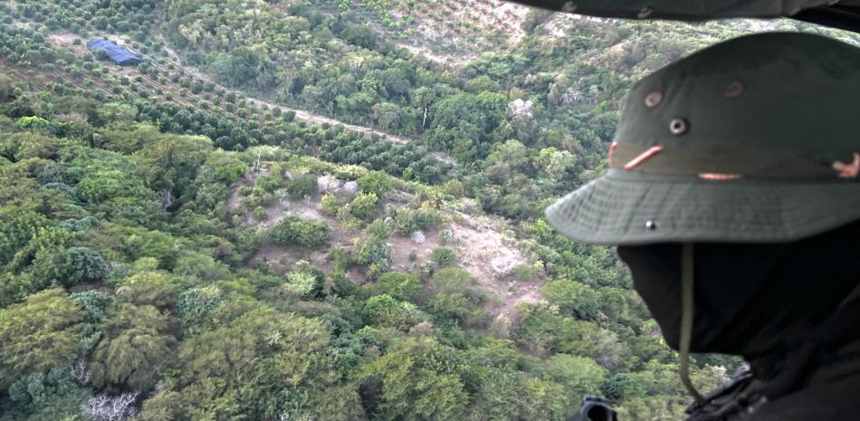 Un militar observa la plantación de marihuana, durante el operativo en Peravia