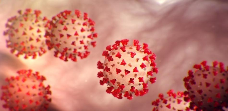 Aconsejan precaución y vigilancia ante nueva variante del Covid-19
