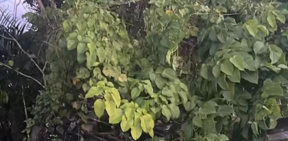 Heridos en accidente de peaje de Guaraguao están "fuera de peligro"