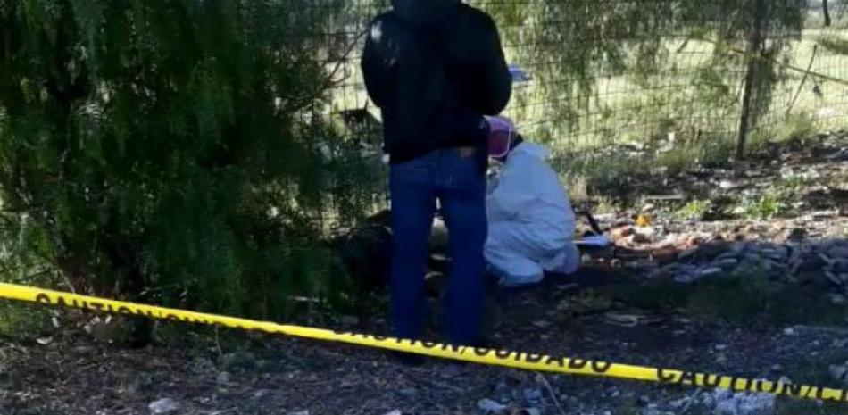 Más de 17,000 denuncias por violencia de género y 22 feminicidios en primer trimestre