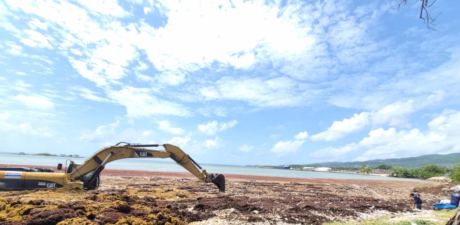 Gran operativo de retiro de sargazo de la zona costera de Barahona.