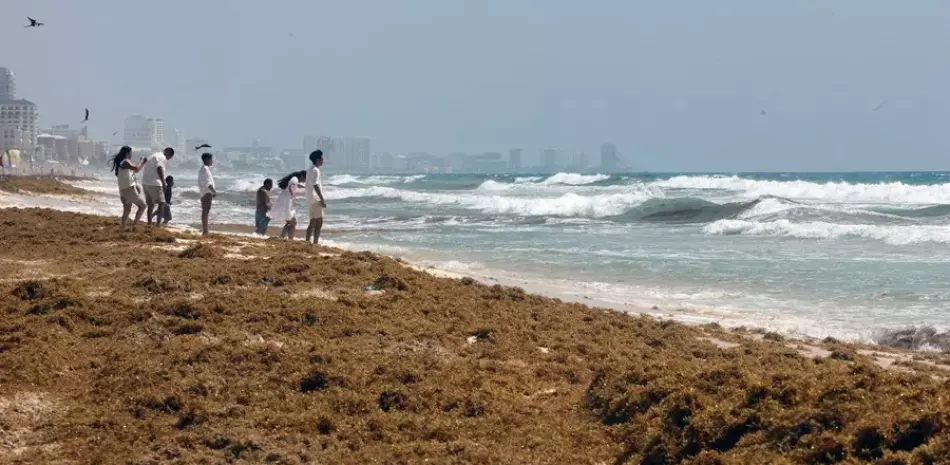 México invertirá US$115 millones para frenar el avance del sargazo en el Caribe