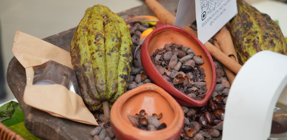 cacao dominicano