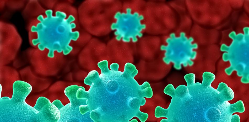Imagen ilustrativa de virus