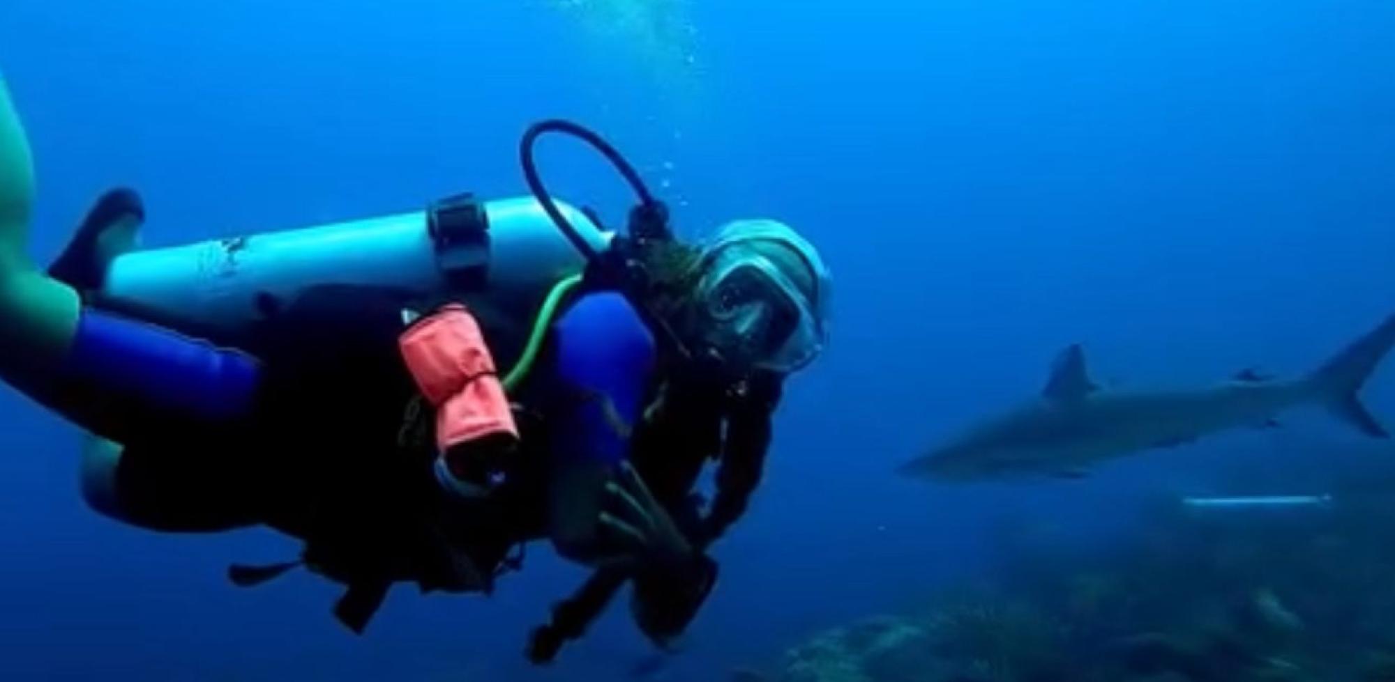 Buzo nadando con un tiburón en las aguas de Bávaro, al este de República Dominicana.