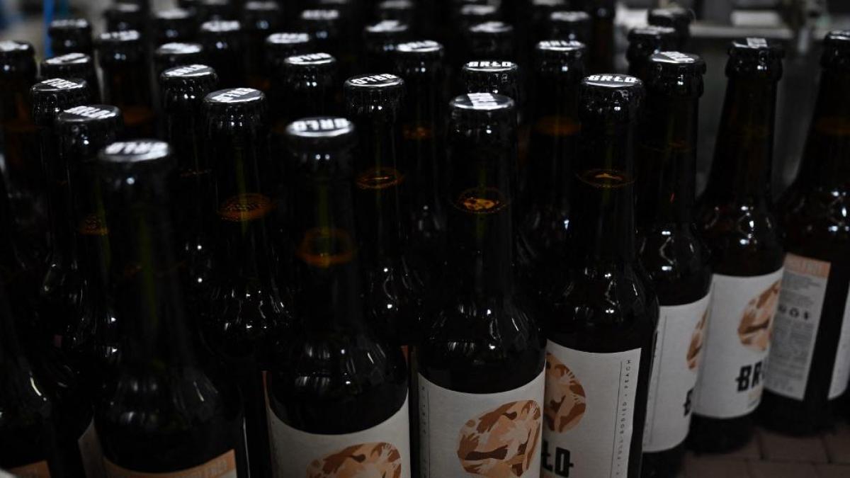 Rise of NonAlcoholic Beer Health Benefits and Increasing Quality