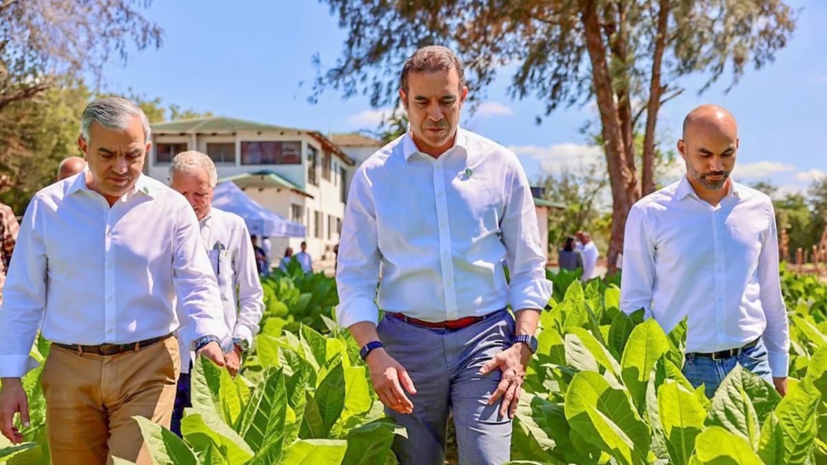 Exportaciones de tabaco de RD se incrementaron más de RD$ 1,000 millones en 2025