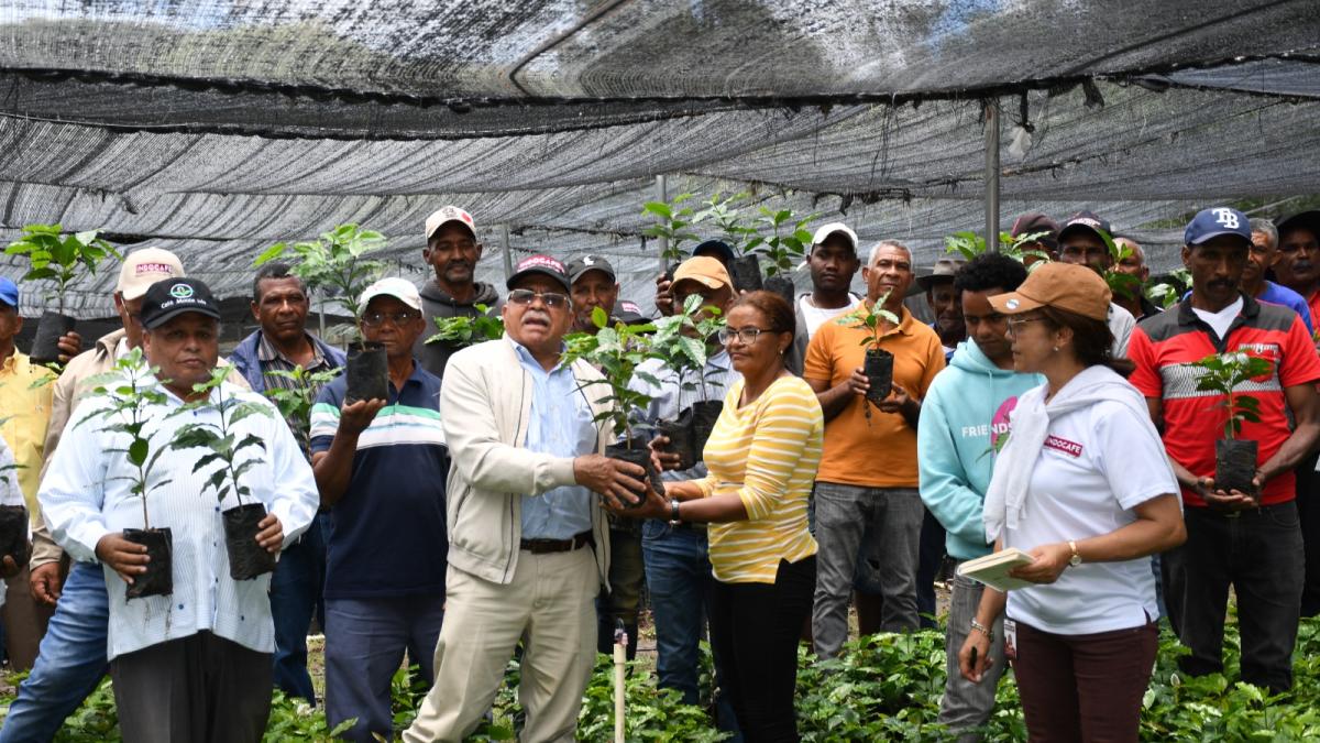 Así va la tarde. Colando café mieludo de Jarabacoa en la greca de cristal.  Link para comprarla en  disponible en la biografía. #buenastardes, By Café Maguana