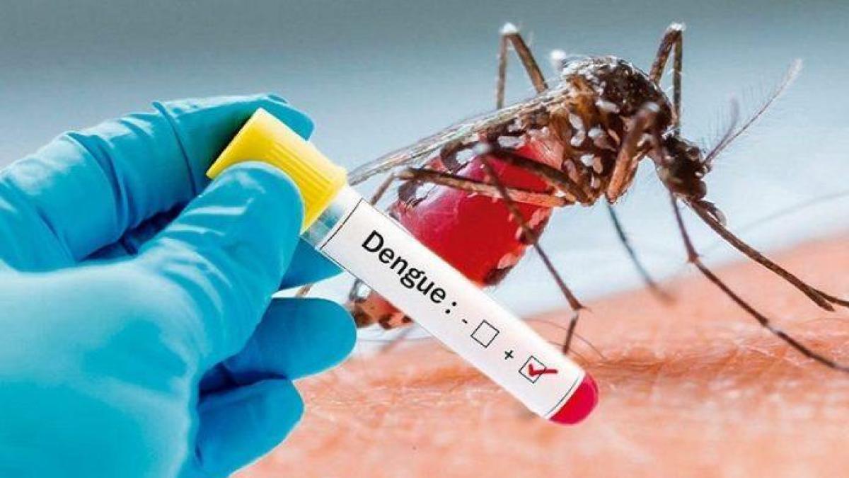 Dominican Republic Discusses Acquisition of Dengue Vaccine Amid