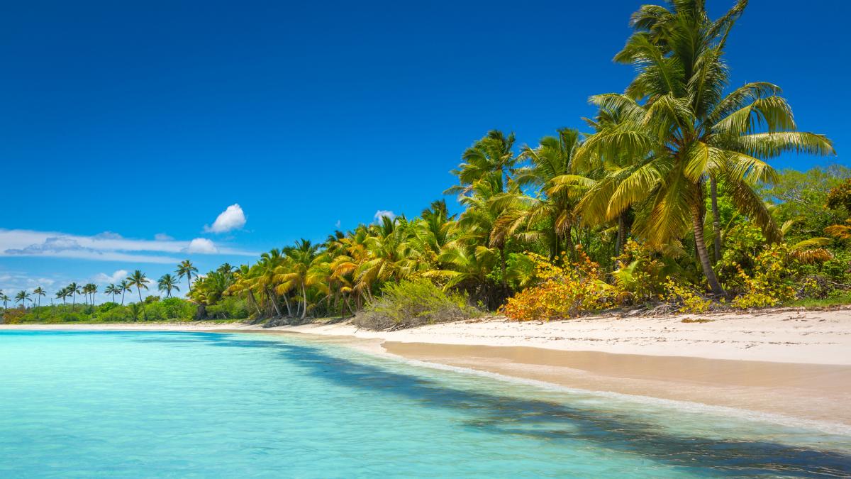 BCR informa la inversión extranjera directa alcanzó los US$5,032.3 millones al cierre de 2025