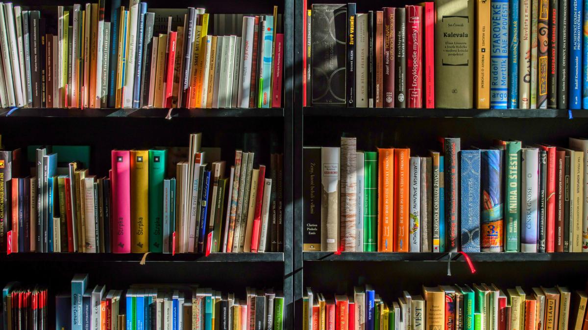 ¿Qué leen tus celebridades favoritas? Recomendaciones literarias en el Día Internacional del Libro