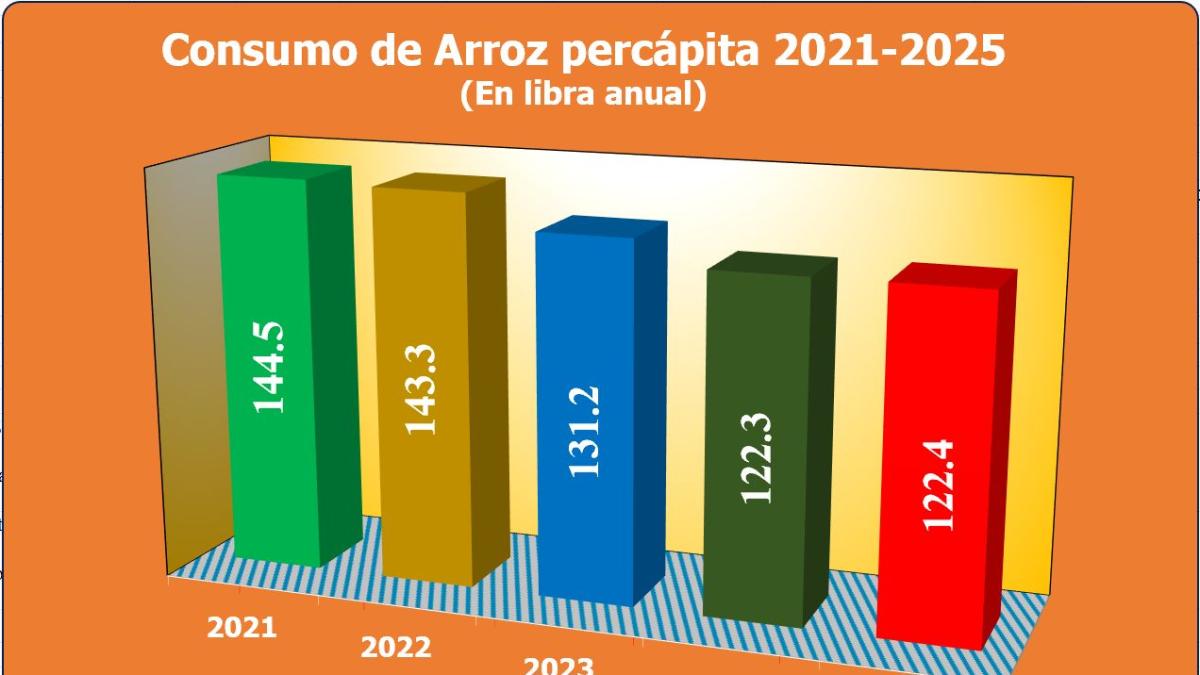 Sánchez Roa explica por qué en 2025 los dominicanos disminuyeron el consumo de arroz