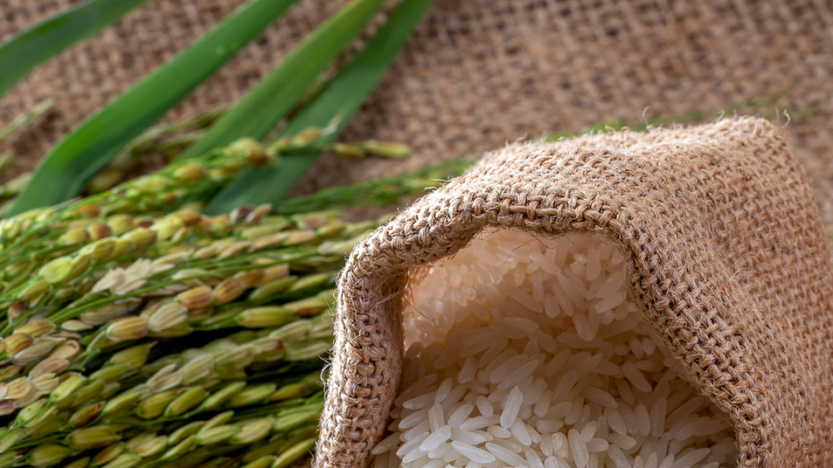 Se reducen las importaciones de arroz y azúcar en 86 y 50%