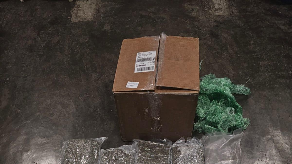 Incautan 18 libras de marihuana en una caja de cartón el Aeropuerto de Las Américas