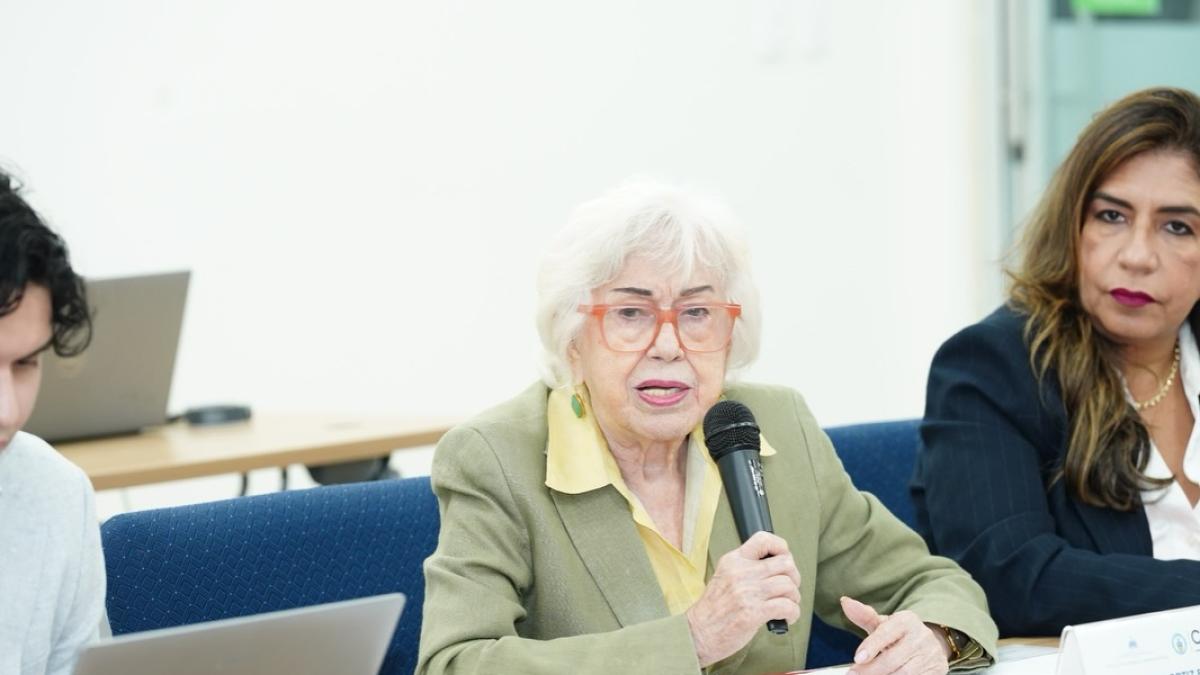 A Milagros Ortiz Bosch le preocupan las declaraciones de diputado sobre cobros a empleados públicos