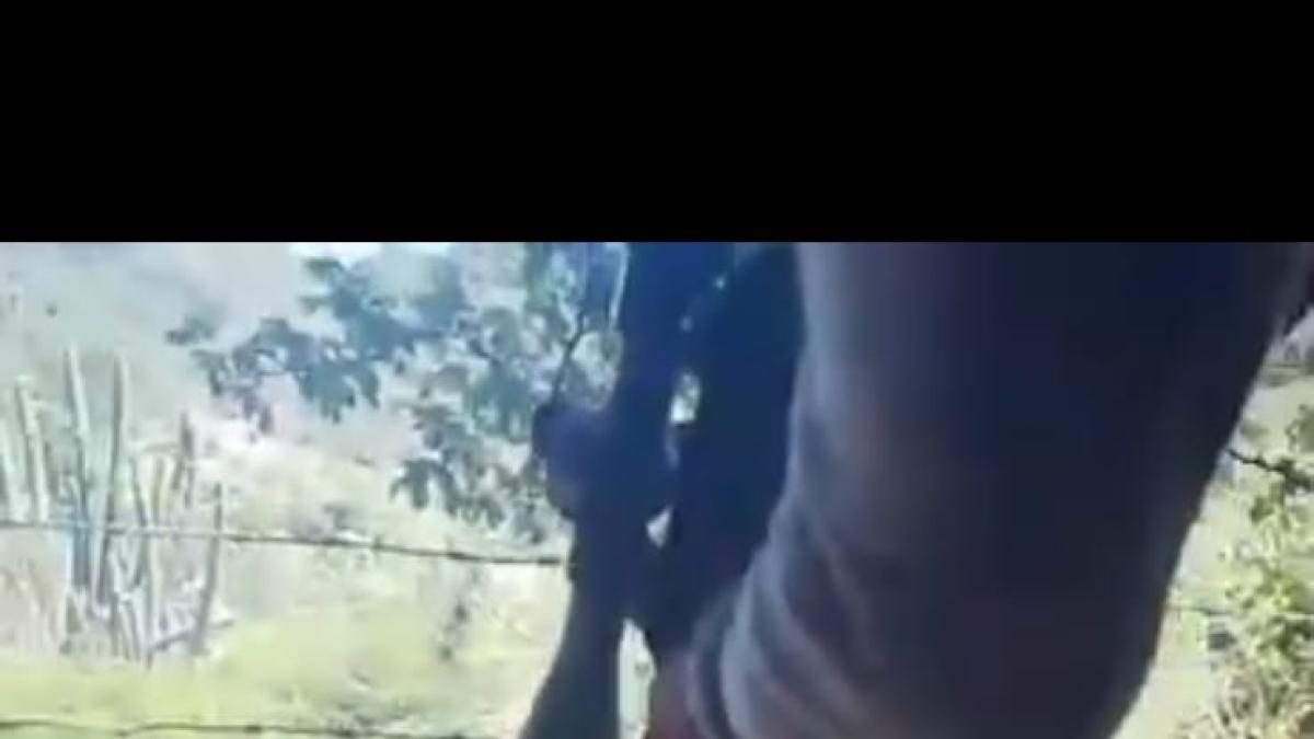 Apresan hombre en Baní por incurrir en maltrato animal en contra de perros callejeros