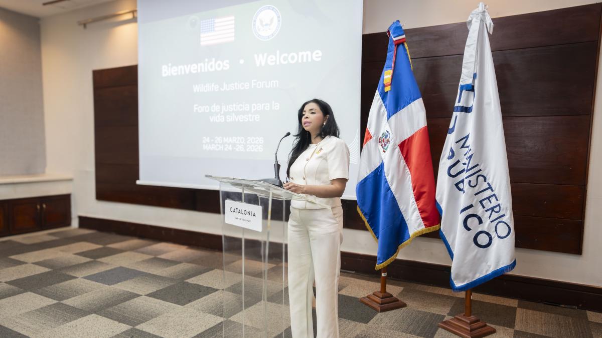 Procuradora general sugiere innovar en investigación de delitos contra el medio ambiente