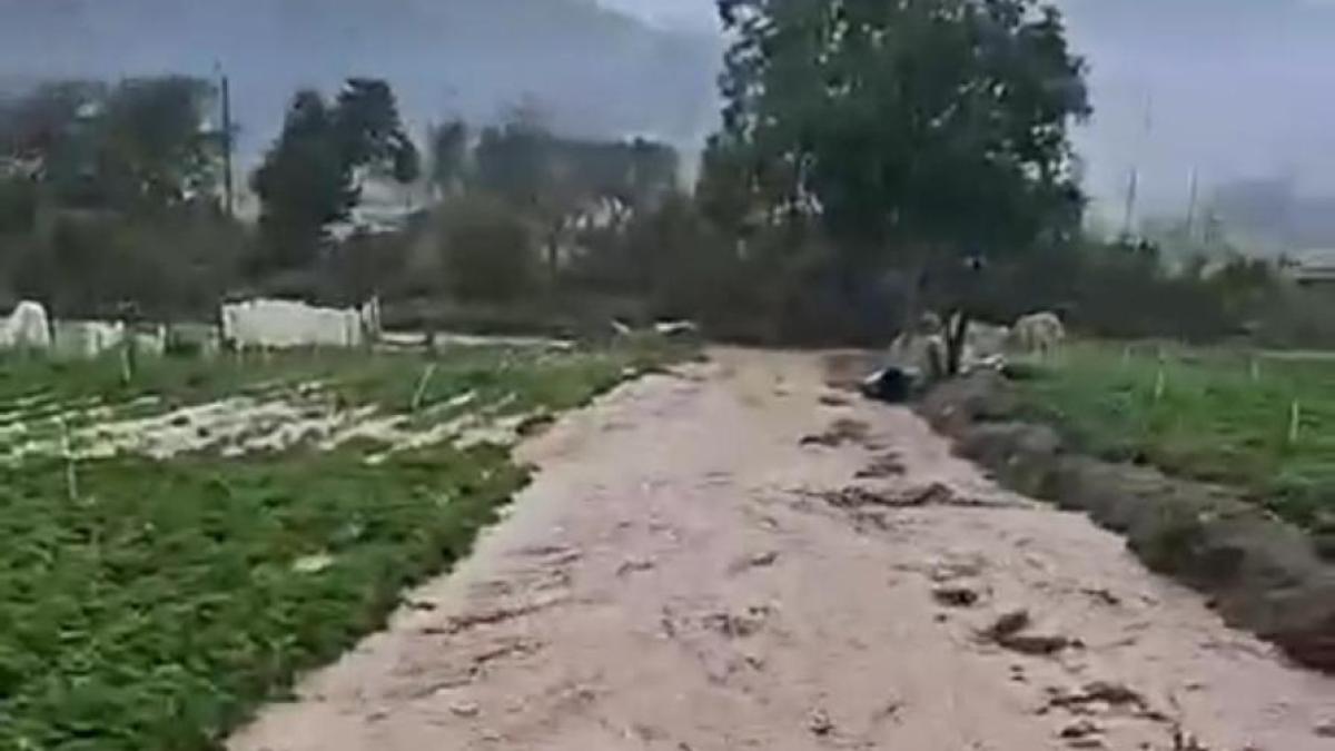 
        Ayuntamiento preocupado por lluvias y falta de respuestas de autoridades en el Río Tireo
    