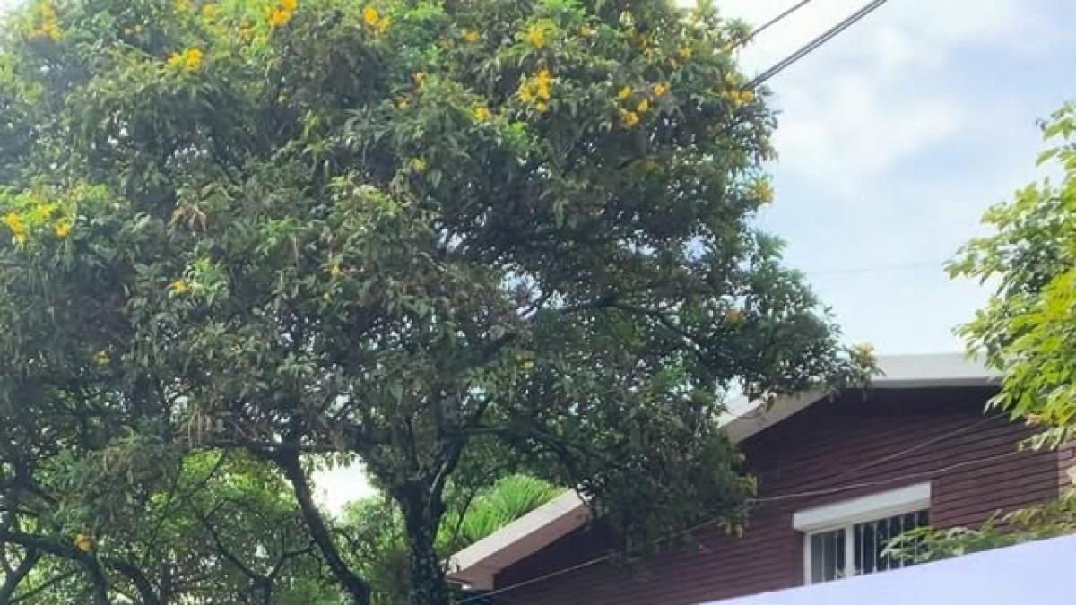 Ataque durante el rodaje de “Sin senos sí hay paraíso” deja tres muertos y un herido