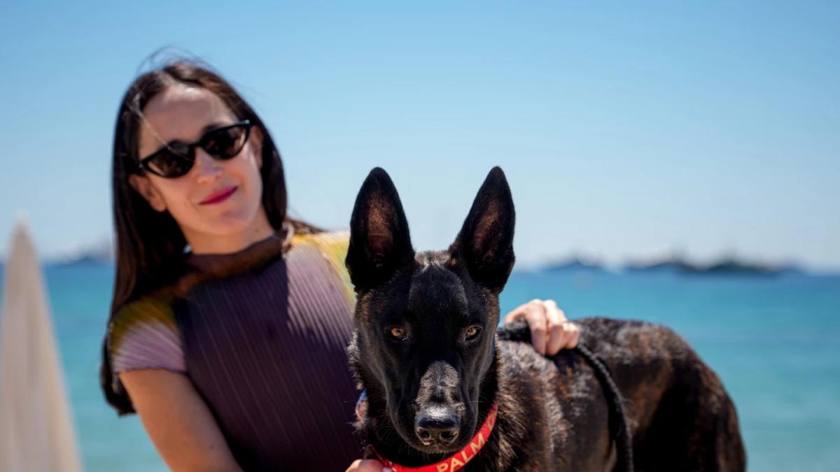 “La perra” gana premio Palm Dog en Cannes