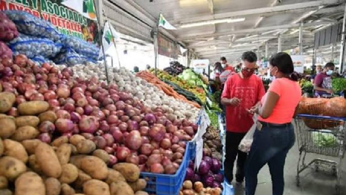 Expertos del FMI sugieren a gobiernos aplicar políticas que garanticen la seguridad alimentaria a los más vulnerables