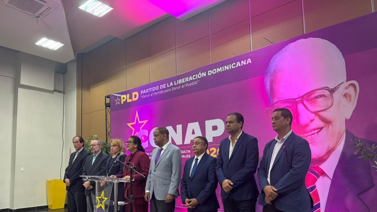 Hora después de críticas de Francisco Javier, PLD pide tener madurez tras suspensión de consulta
