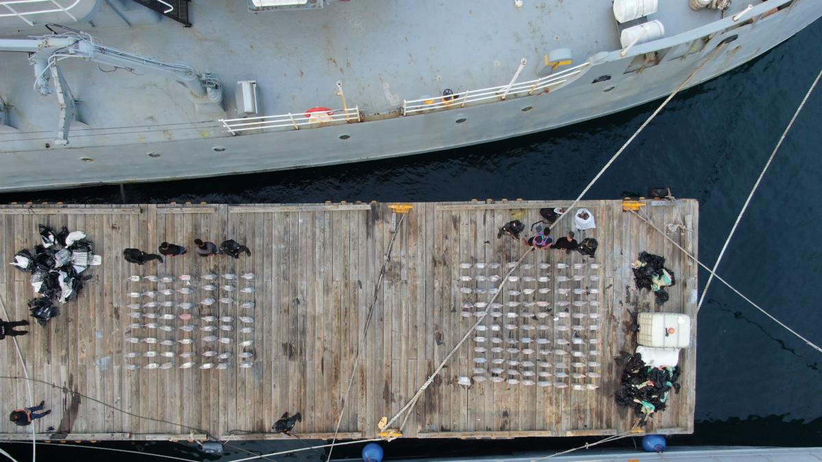 Baní: Rescatan un mono exótico, incautan dos narcolanchas con droga y detienen a cuatro hombres
