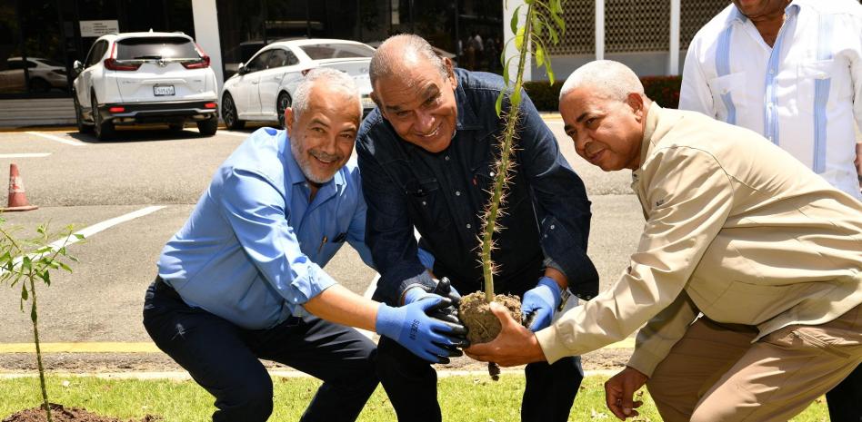 Rosas de Bayahíbe en el jardín del Listín Diario