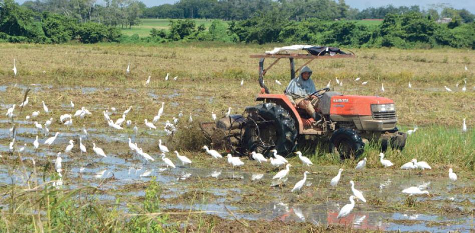 Sidiagro: la plataforma que digitaliza el sistema agropecuario