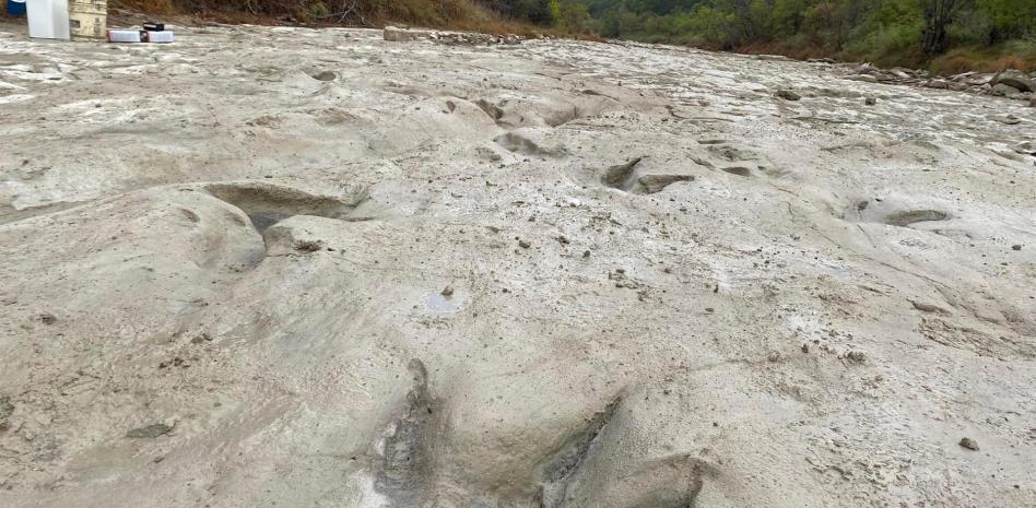 Identifican un nuevo dinosaurio a partir de un fósil que estuvo en un cajón 100 años