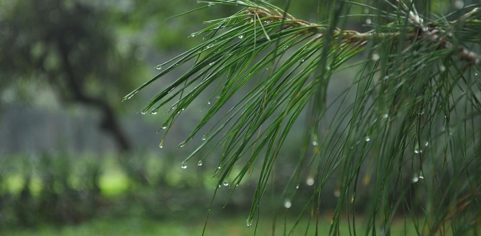 Onda tropical y vaguada provocan lluvia en varias regiones; advierten sobre altas temperaturas