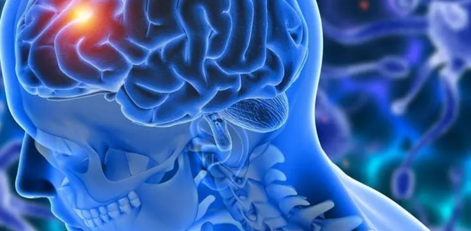 Hábitos cotidianos mejoran la salud cognitiva en mayores, según estudio realizado en latinoamérica