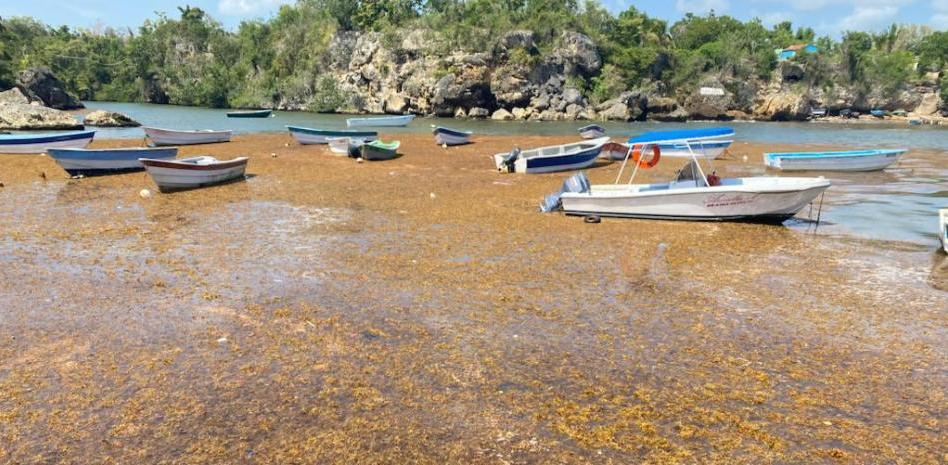 El sargazo ha acumulado más de nueve millones de toneladas en el Caribe