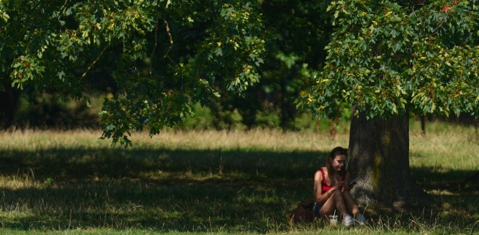Indomet pronostica temperaturas calurosas para este domingo