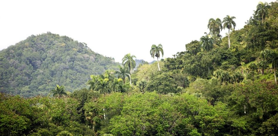 Medio Ambiente dice que proyecto minero en San Juan se encuentra en fase de evaluación técnica