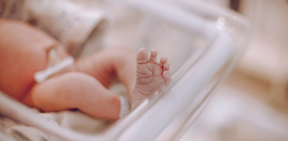 La exposición a metales en los primeros años afecta al desarrollo cerebral y conductual