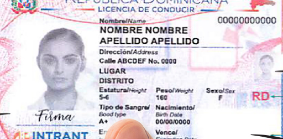 Poder Ejecutivo trabaja decreto para regular obtención de licencias a personas mayores de 65 años