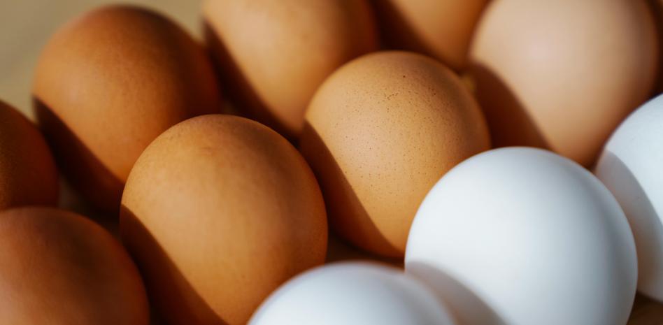 RD reanuda las exportaciones de huevos a Cuba con envío de más de 3.9 millones de unidades
