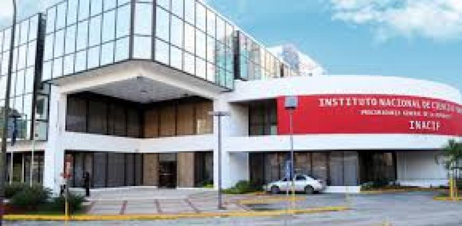 El Inacif quema más de 8 toneladas de drogas en el primer trimestre 2026